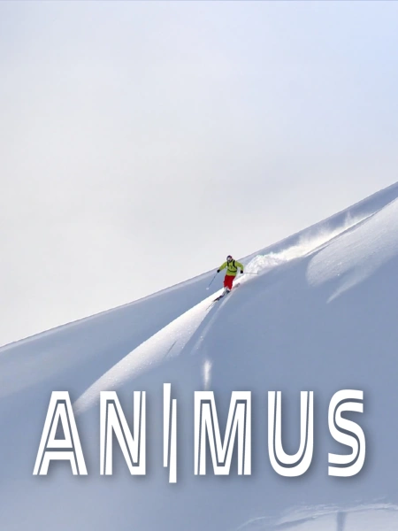 Animus