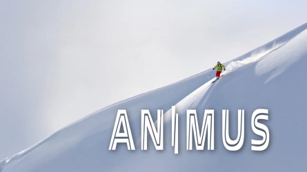 Animus