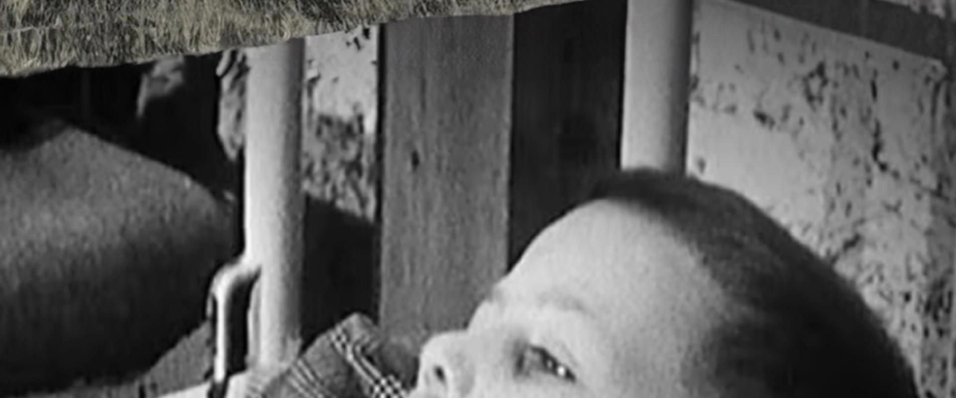 Que s'est-il passé dans les centres de cure pour enfants ?