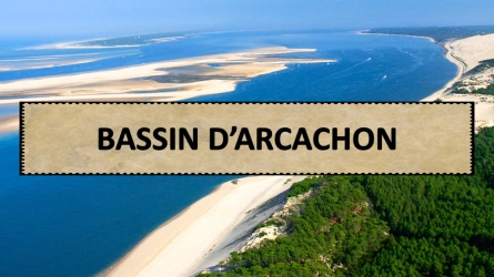 Bassin d'Arcachon
