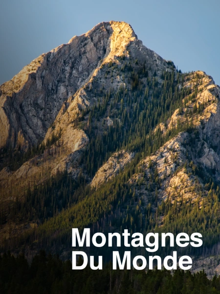Redynamiser et faciliter l'accès à la montagne : Le Magic Pass en Suisse !