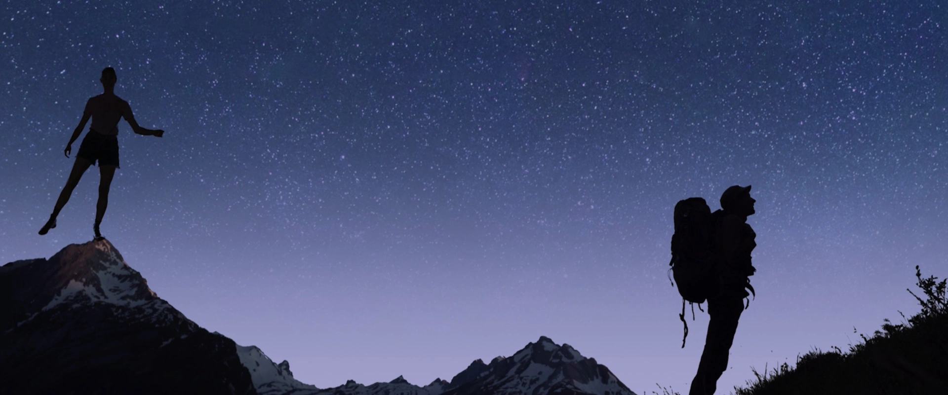 Nos amis sauvages - Le gypaète barbu