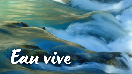 L'eau vive