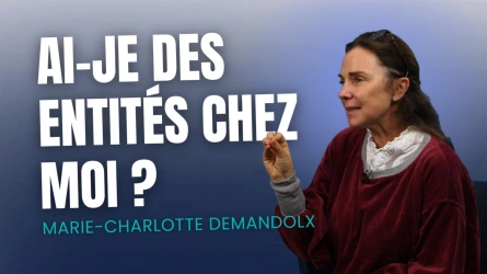 Ai-je des entités chez moi ?