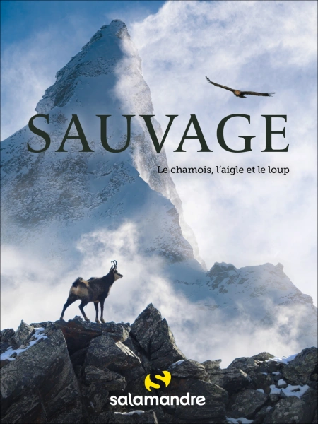 Sauvages, le chamois, l’aigle et le loup