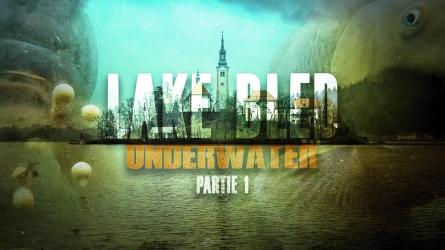 LAKE BLED UNDERWATER - Partie 1