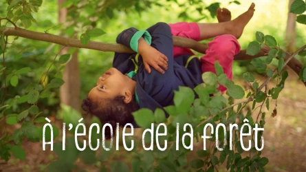A l'école de la forêt