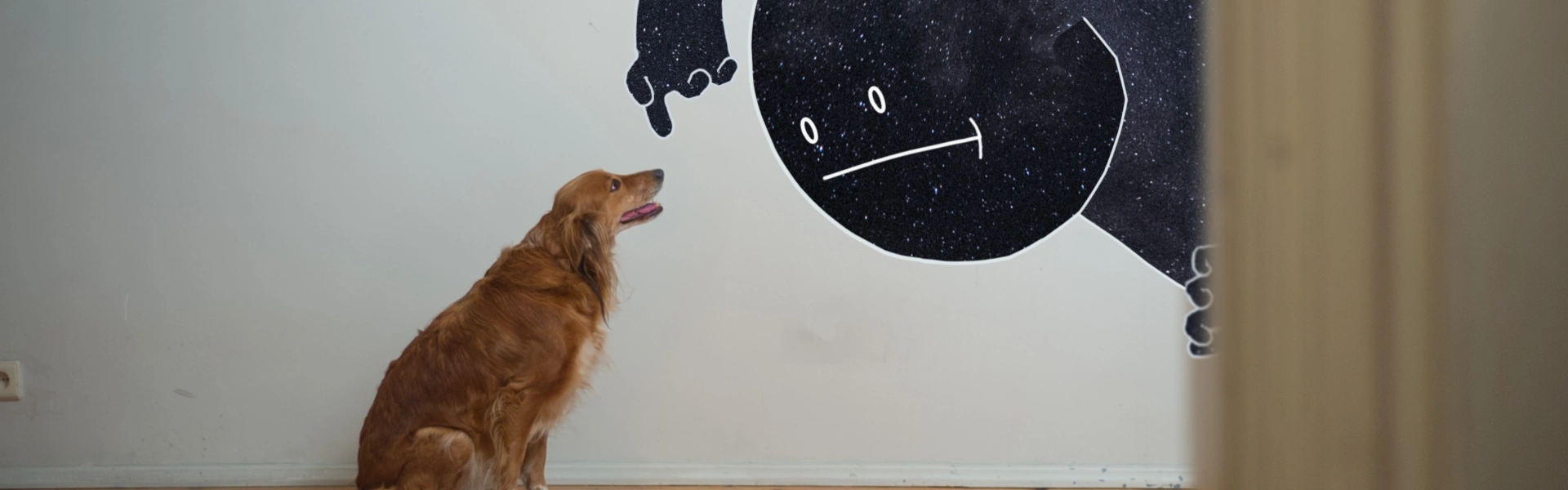 Mr. Night has a Day Off