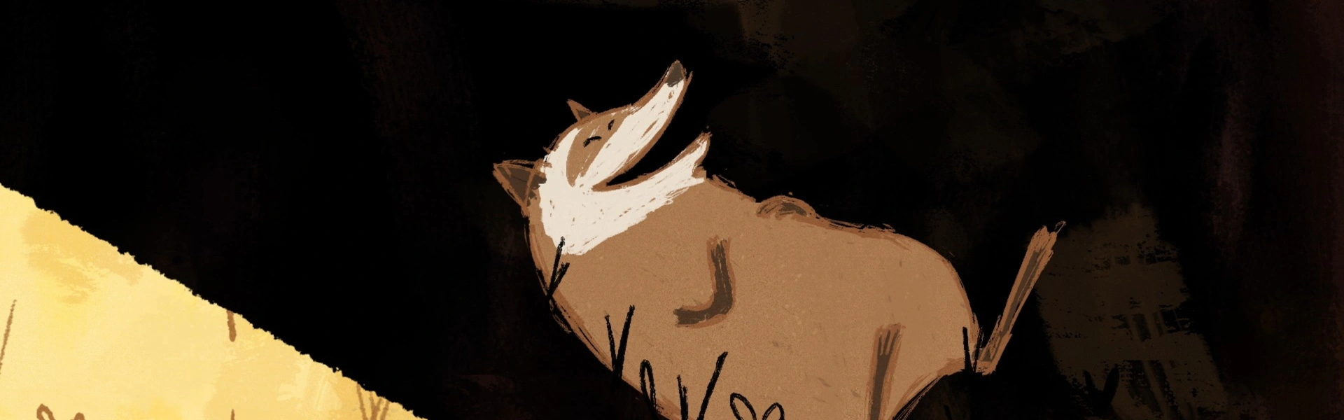 Raccoon and the Light