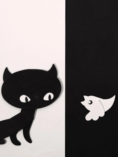 Cat and Bird
