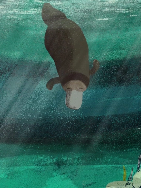 Platypuses (cubs)