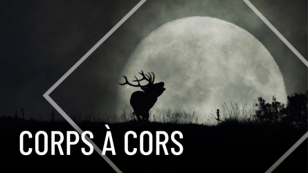 Corps à cors