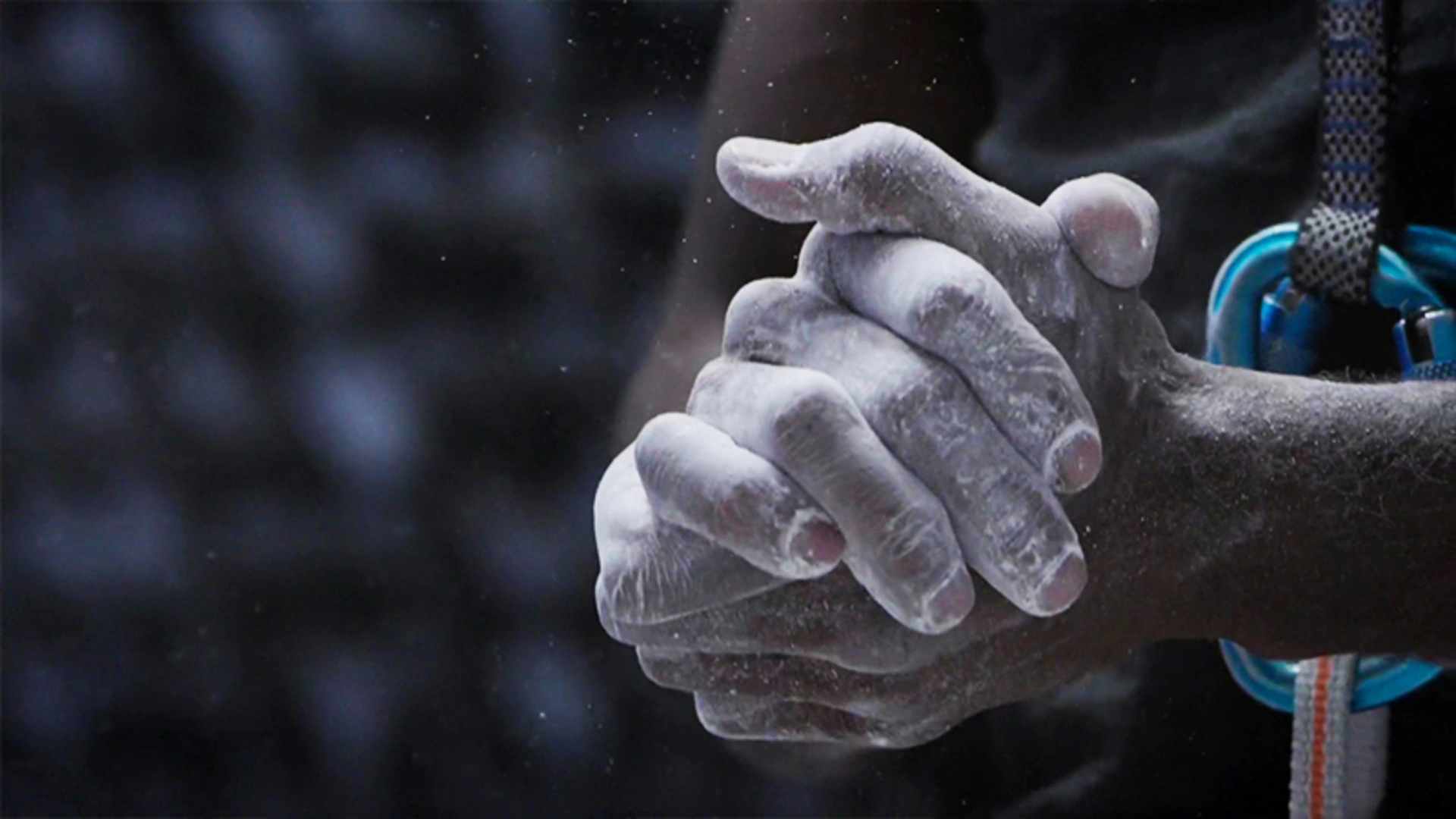 Module 3 - Développer ses capacités physiques