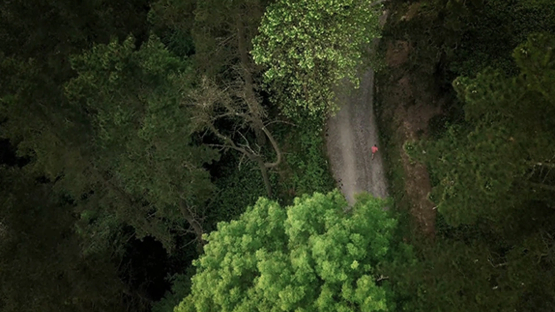 Module 3 - Maîtriser les principes clés de l'ultra trail