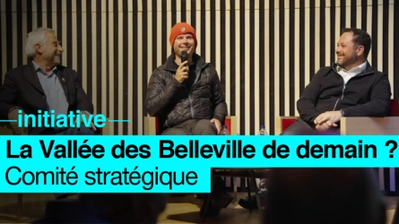 Comité Stratégique de Vallée des Belleville