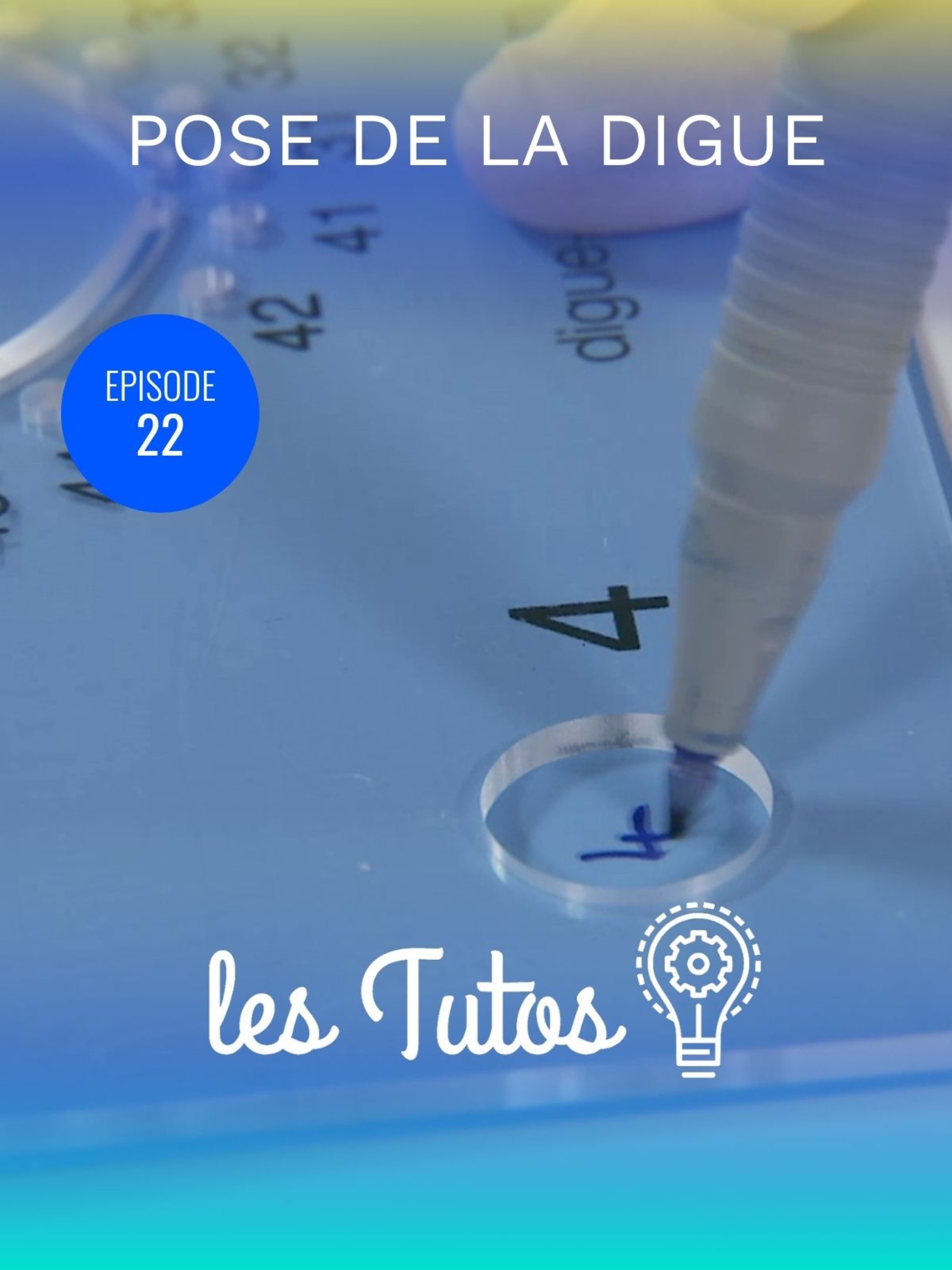 Pose de la digue Isolation 45 à 47