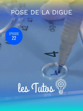 Pose de la digue Isolation 45 à 47