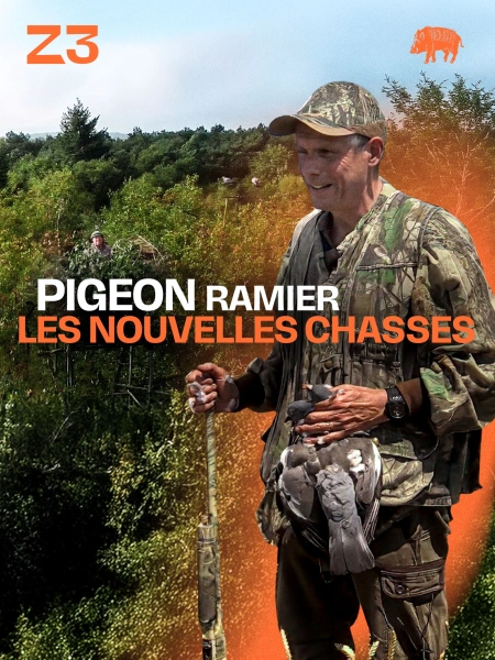 PIGEON RAMIER : LES NOUVELLES CHASSES