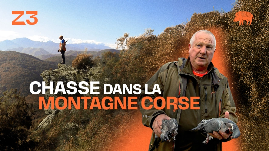 CHASSE DANS LA MONTAGNE CORSE
