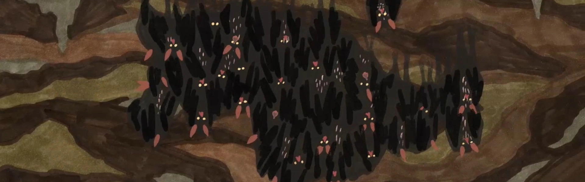 Chauve-souris (Au dodo !)