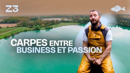 Carpes entre business et passion