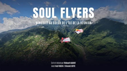 Soul Flyers