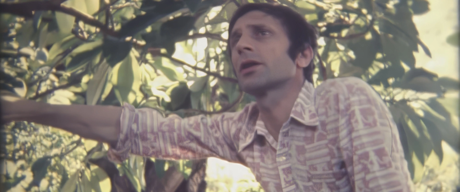 Présence protestante - La tombe de Henry Nott