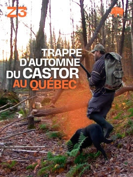 Trappe d'automne du castor au Québec