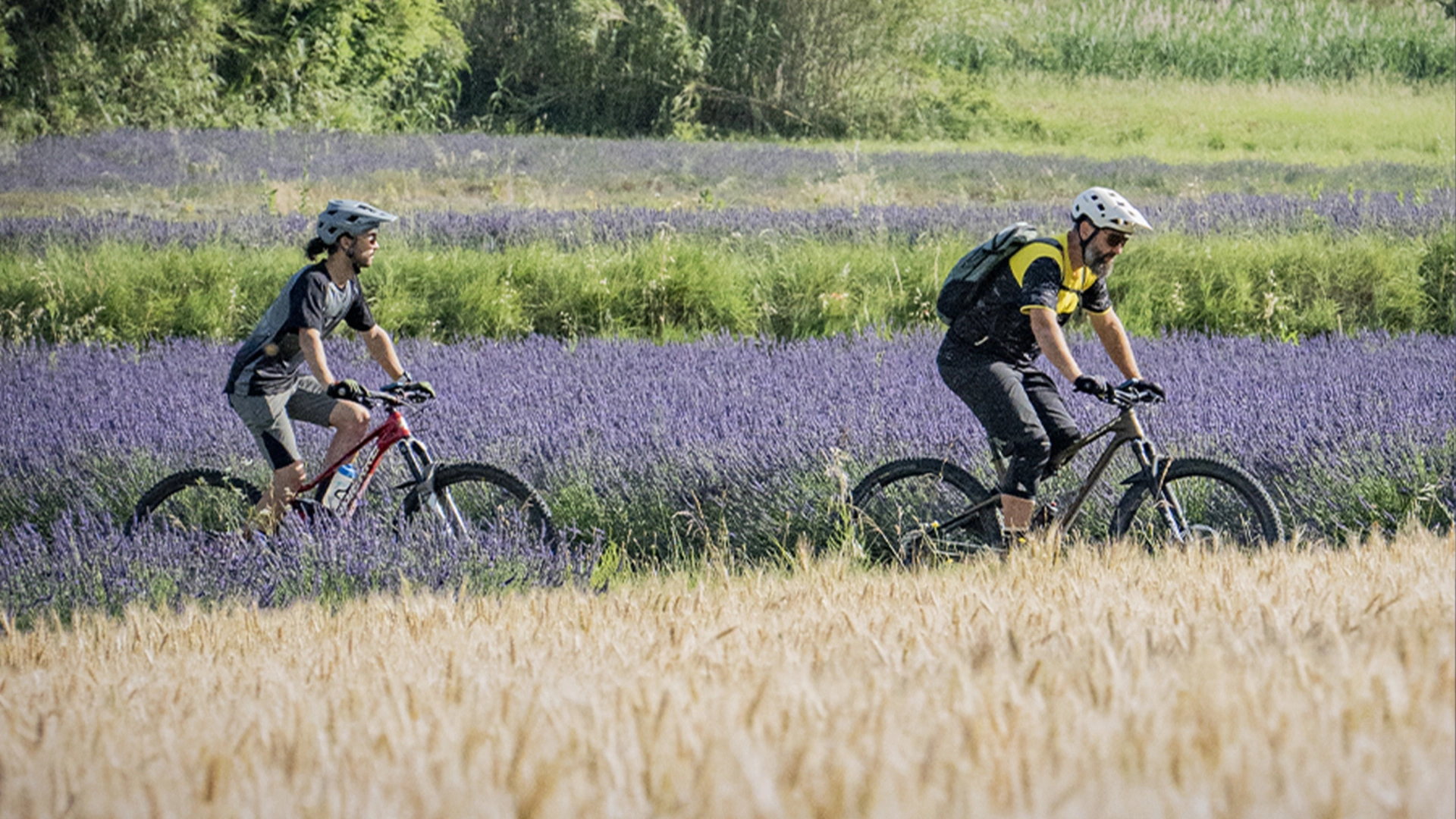 Un Gaulois à vélo