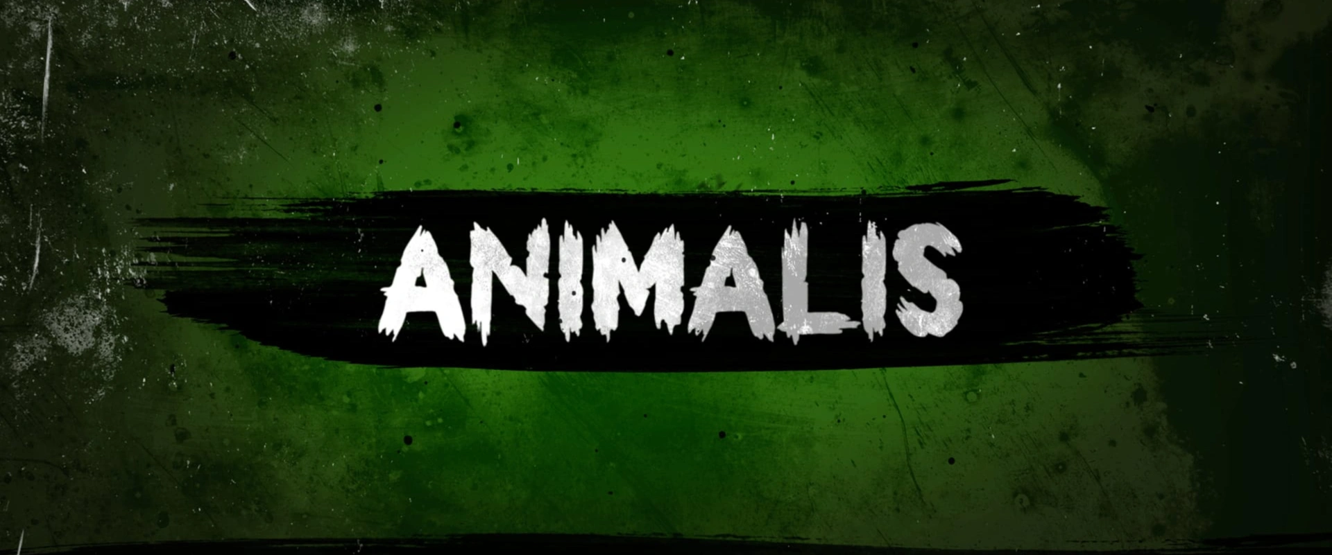 Animalis - Le Blaireau