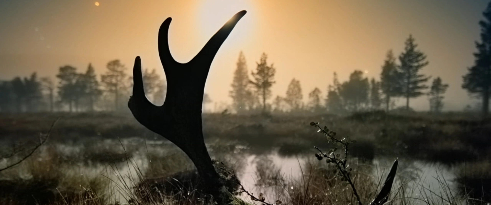 Aux sources de la nature