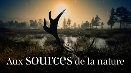 Aux sources de la nature