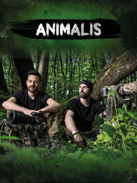 Animalis