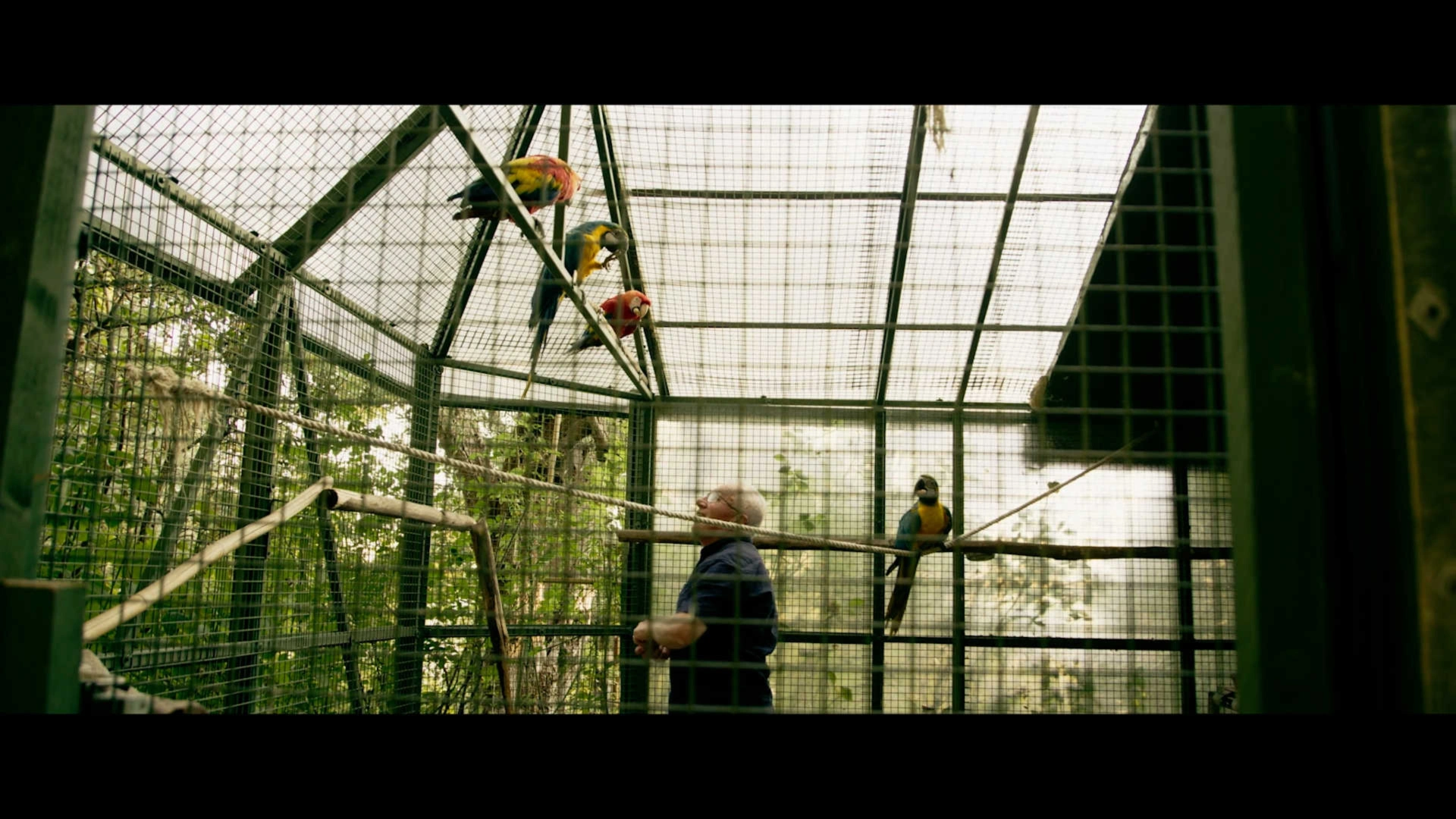 Niebo nie może czekać. Historia Carla Acutisa