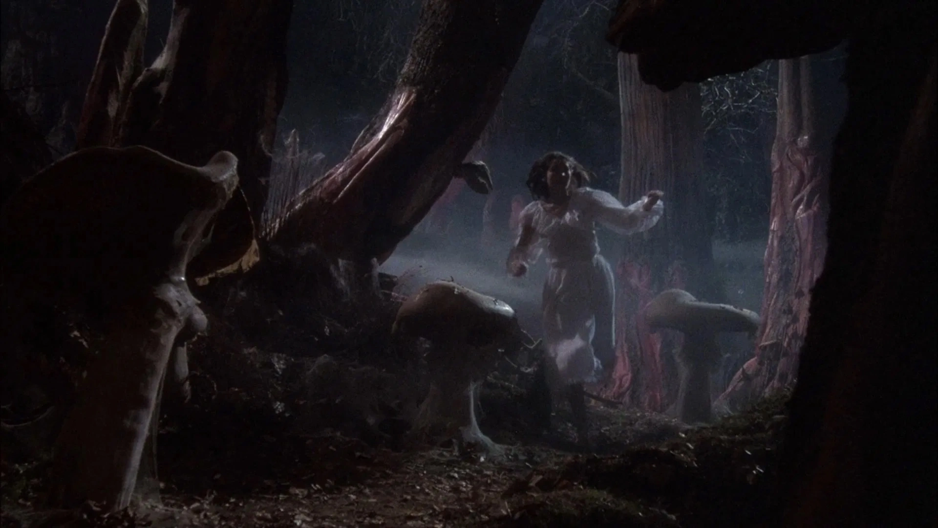 En Compañía de Lobos