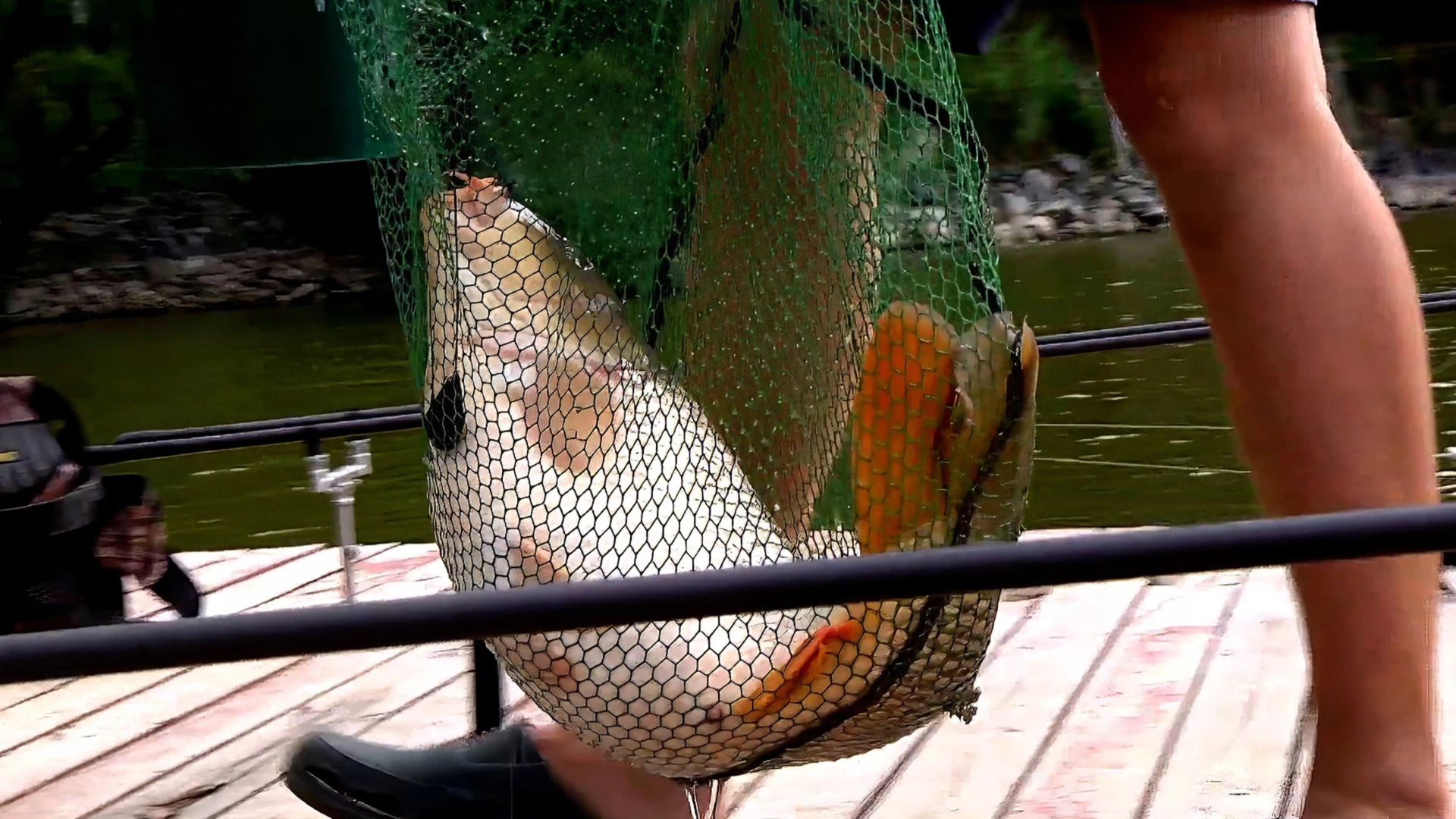 La pêche à la carpe en Ukraine