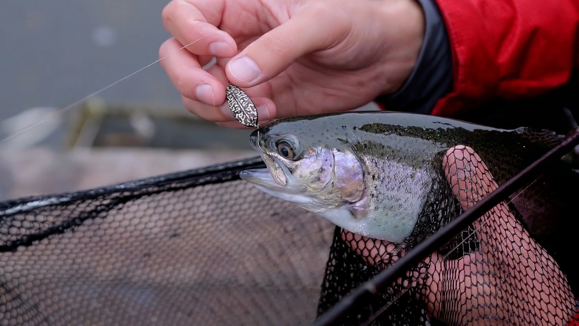La pêche en réservoir en Ukraine