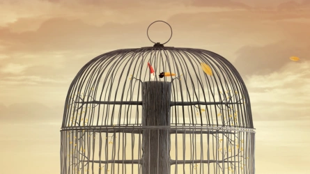 Migratory birds (Two Little Birds)