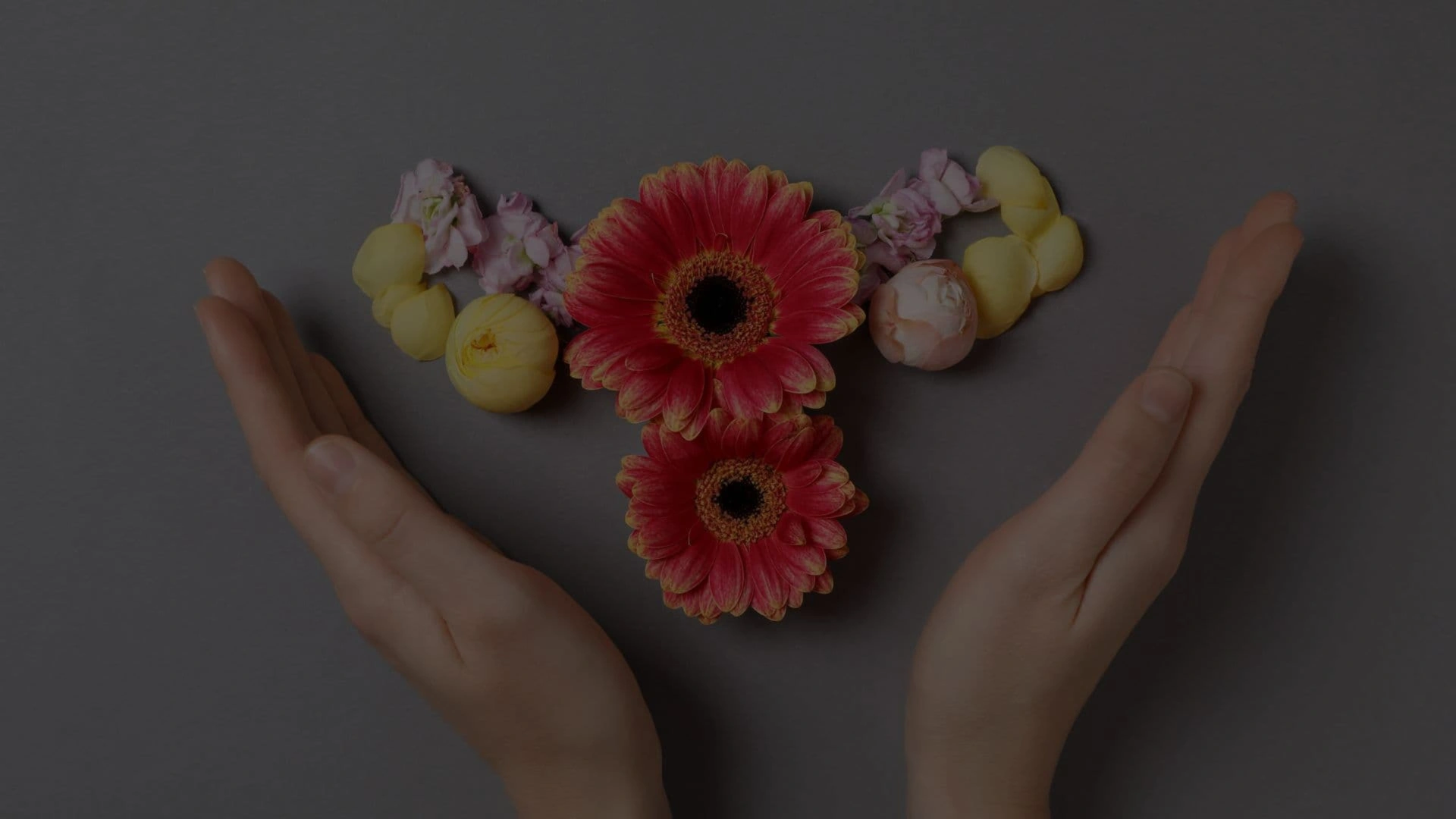 Ménopause: Sérénité, sommeil et intimité