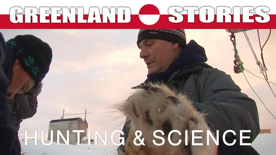 Hunting & Science In Greenland