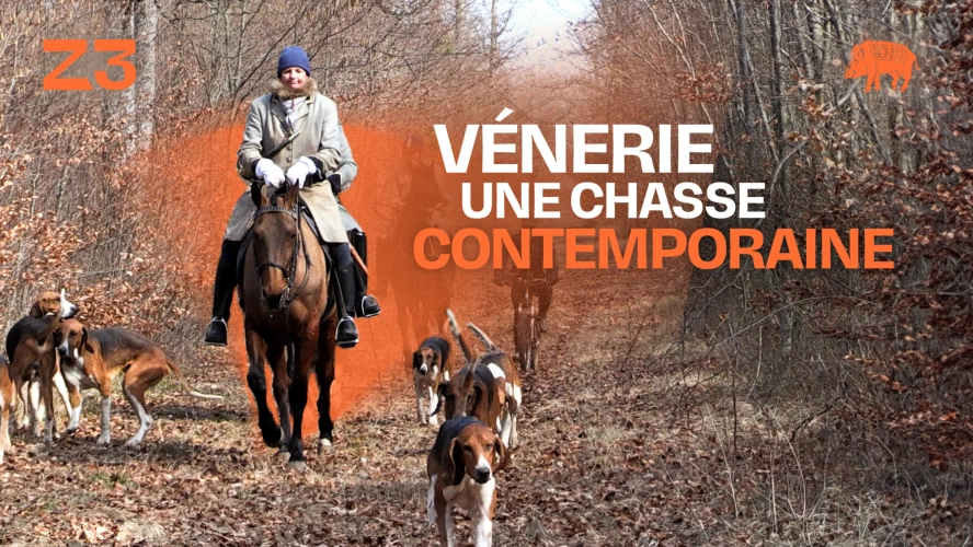 Vénerie, une chasse contemporaine