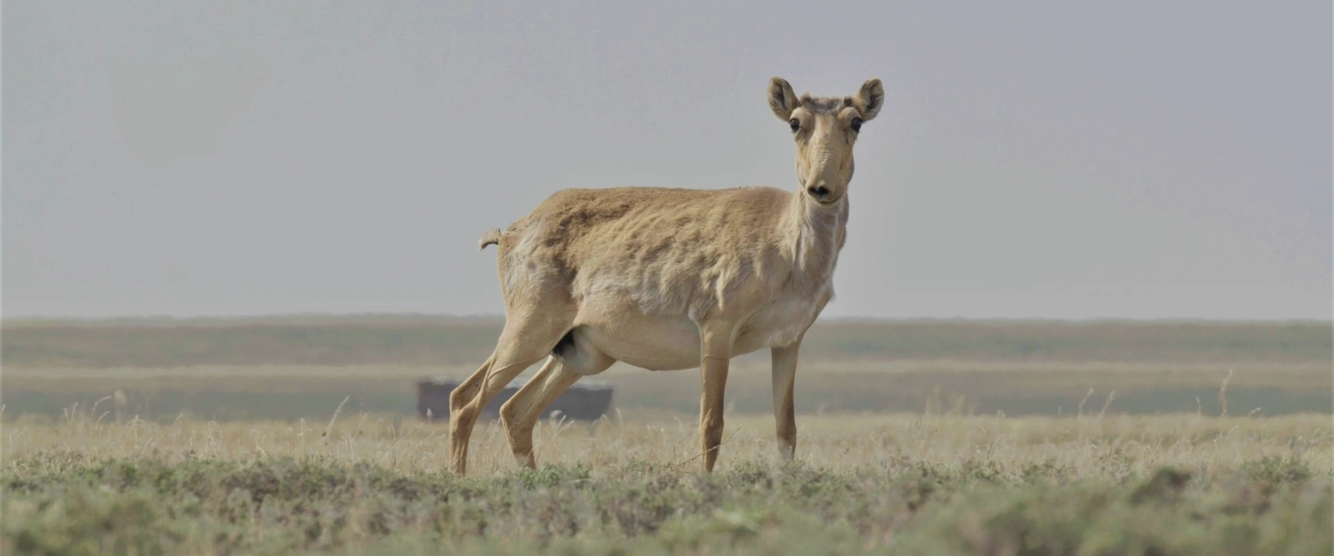 5000 ans de murmures