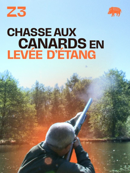 Chasse aux canards en levée d'étang