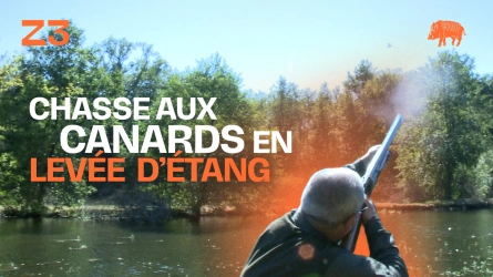 Chasse aux canards en levée d'étang