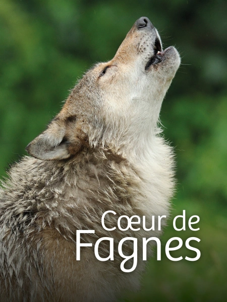 Coeur de Fagnes