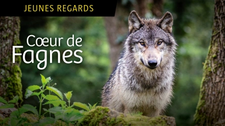 Coeur de Fagnes