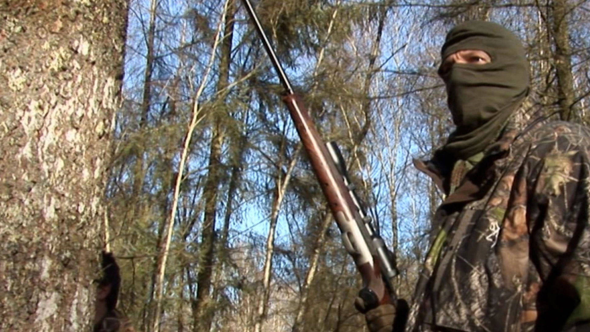 Battue aux cervidés au domaine de Boutissaint