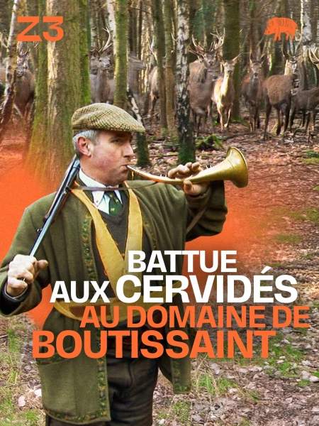 Battue aux cervidés au domaine de Boutissaint