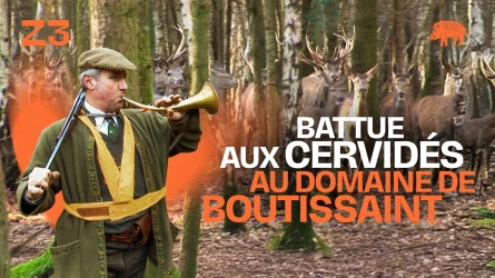 Battue aux cervidés au domaine de Boutissaint
