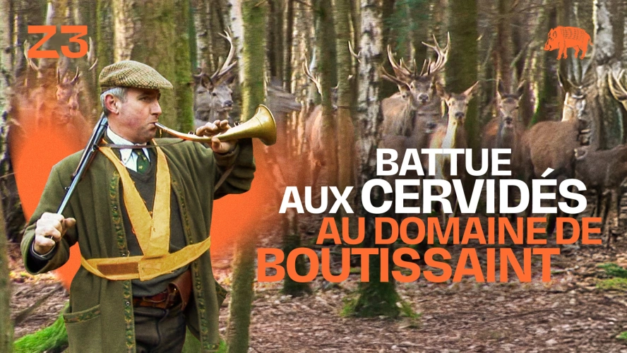 Battue aux cervidés au domaine de Boutissaint